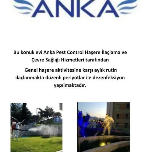 Semesterbostad Urla Seaside House Ildiri